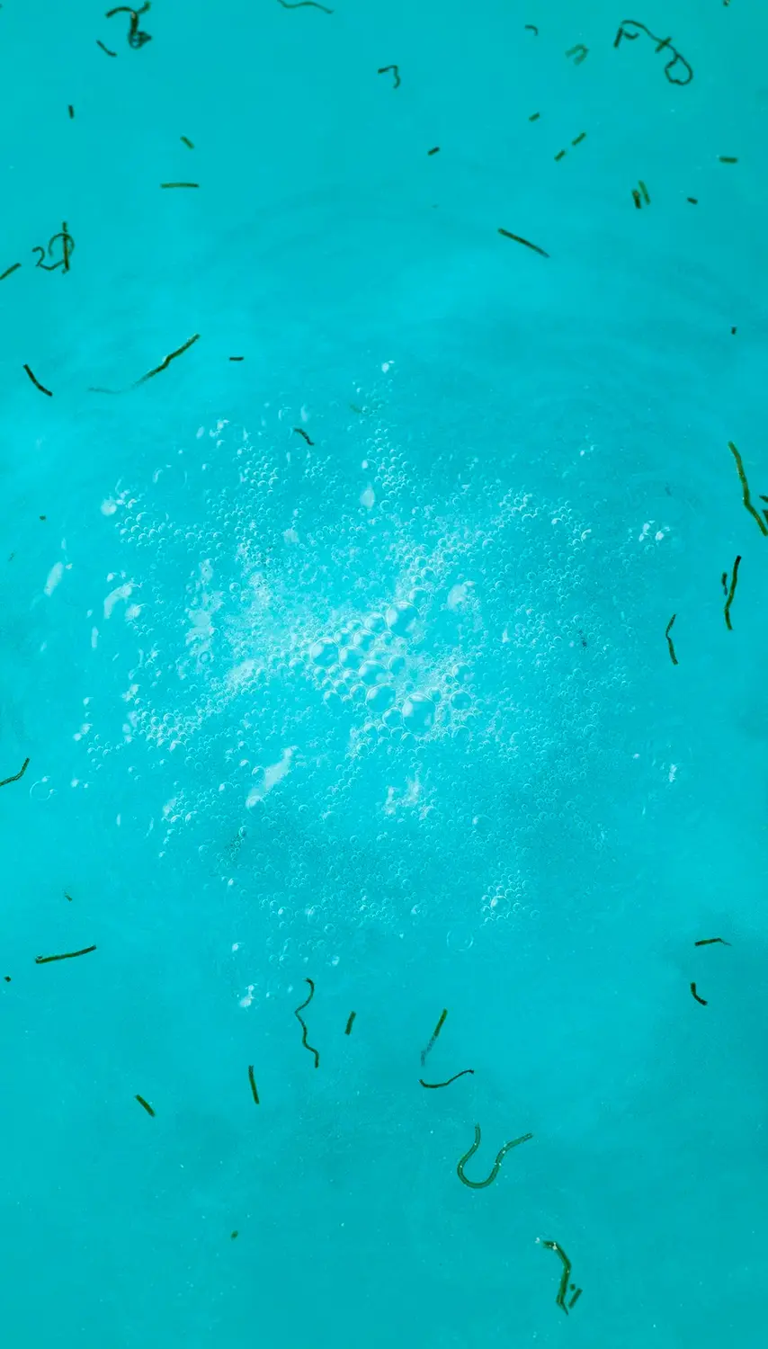 Big Blue - Image 4