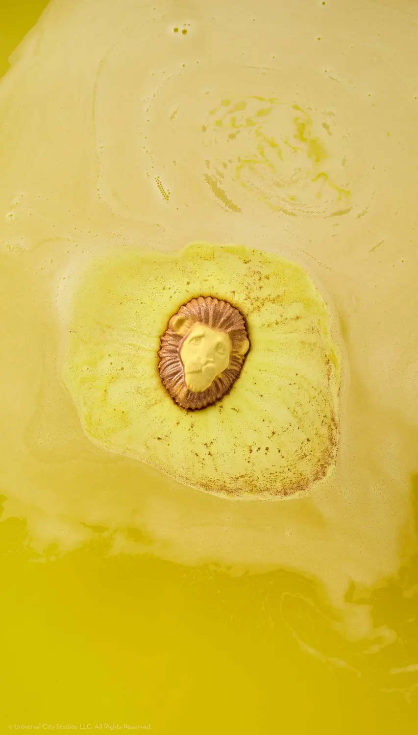 Lion - Image 4