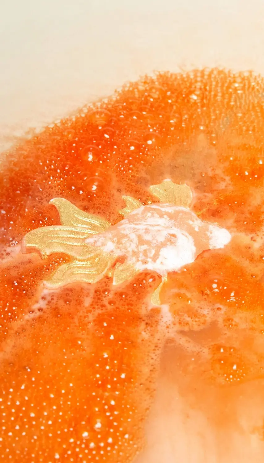 Goldfish - Image 2