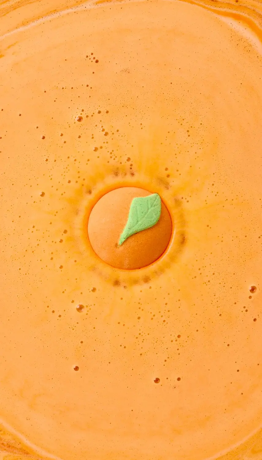 We Put The Whole Fruit In - Image 3